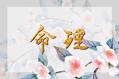 2025年黄历吉日查询,老黄历2025年查询,中国老黄历吉日查询